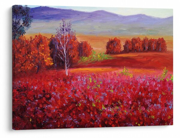 Obraz červenej krajiny (70x50 cm)
