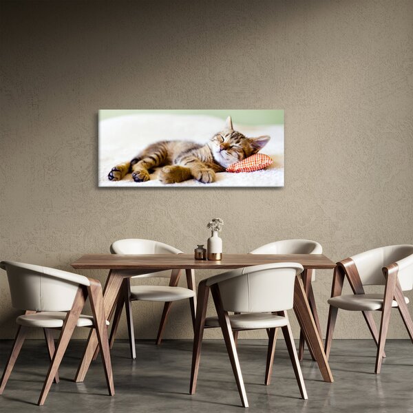 Obraz - Spiace mačiatko (120x50 cm)