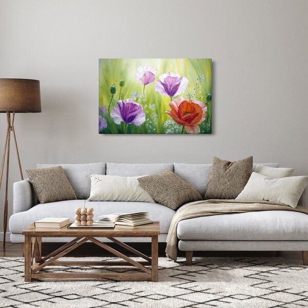 Obraz - Vlčie maky (90x60 cm)