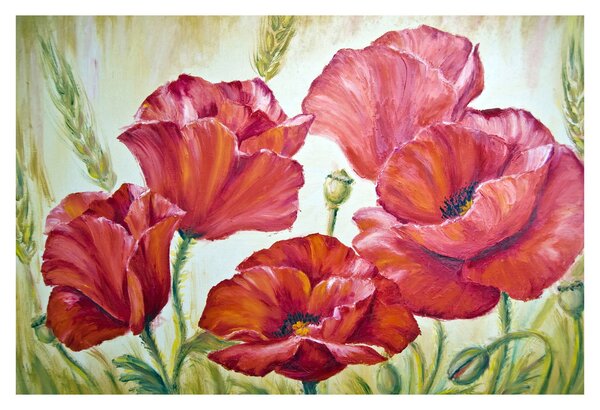 Obraz - Kvety vlčích makov (90x60 cm)