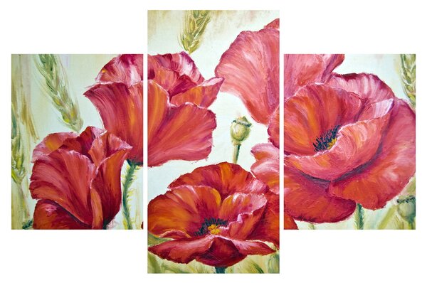Obraz - Kvety vlčích makov (90x60 cm)