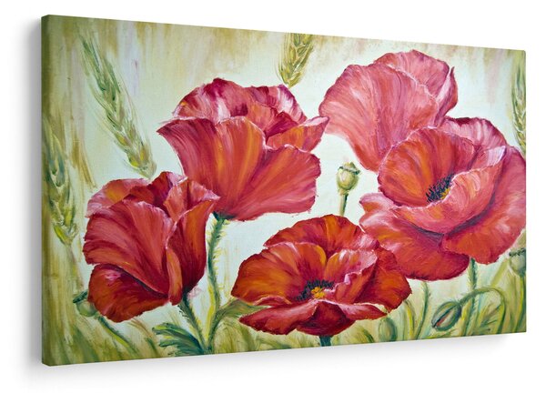 Obraz - Kvety vlčích makov (90x60 cm)