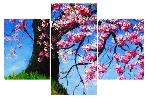 Obraz maľované rozkvitnuté čerešne (90x60 cm)