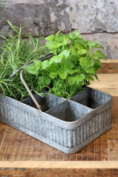 Plechový antik box s rukoväťou a 8 priehradkami Old French - 41*20*10 cm - Chic Antique