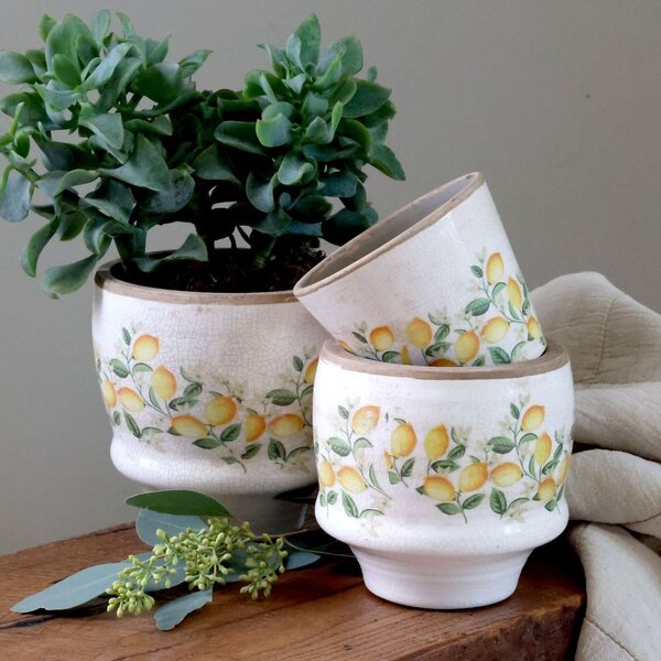 Béžový antik keramický kvetináč s citrónmi Limone Blossom - Ø 13*12 cm - Chic Antique