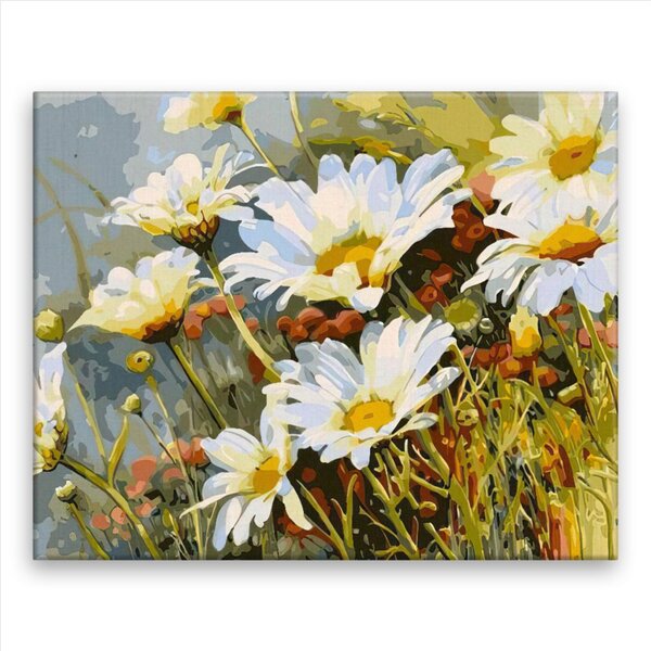 Obraz na plátne - Divoké margarétky - 50x40 cm