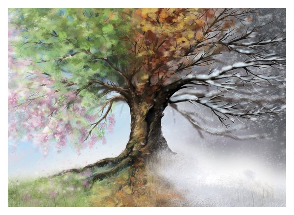 Obraz - Strom štyroch ročných období (70x50 cm)