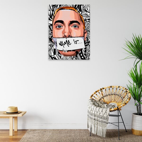 Obraz na plátne - Eminem - 30x40 cm