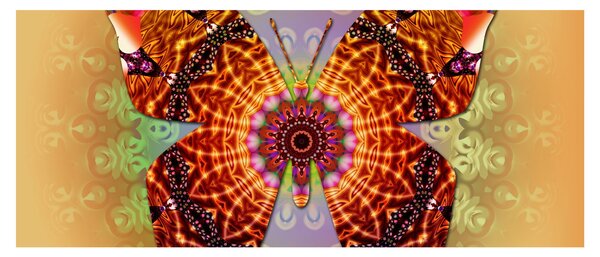 Obraz - Etno motýľ (120x50 cm)