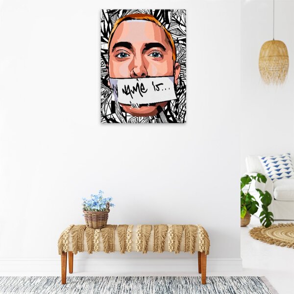 Obraz na plátne - Eminem - 30x40 cm