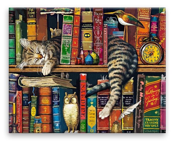 Obraz na plátne - Relax v knižnici - 50x40 cm