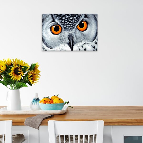 Obraz na plátne - Oranžové sovie oči - 60x40 cm