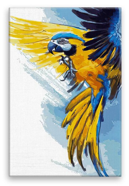Obraz na plátne - Papagáj v letu - 40x60 cm