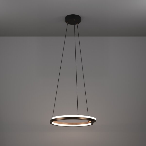 Eglo 901826 - LED stmievateľný luster na lankách MEZZOMONTE 2xLED/20W/230V bronz + diaľkové ovládanie