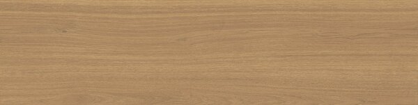 Mother COGNAC SL3012AS RM 30x120x2