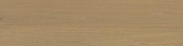 Mother COGNAC SL3012AS RM 30x120x2