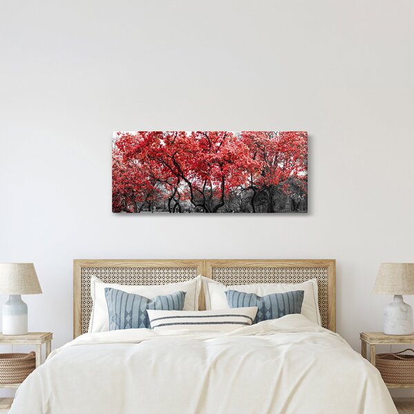 Obraz - Červené stromy, Central Park, New York (120x50 cm)
