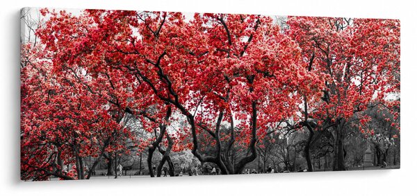 Obraz - Červené stromy, Central Park, New York (120x50 cm)