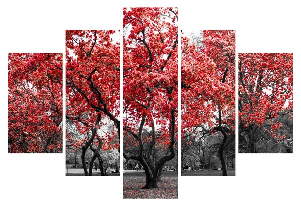 Obraz - Červené stromy, Central Park, New York (150x105 cm)