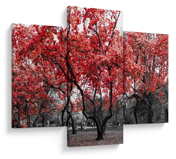 Obraz - Červené stromy, Central Park, New York (90x60 cm)