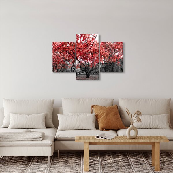 Obraz - Červené stromy, Central Park, New York (90x60 cm)