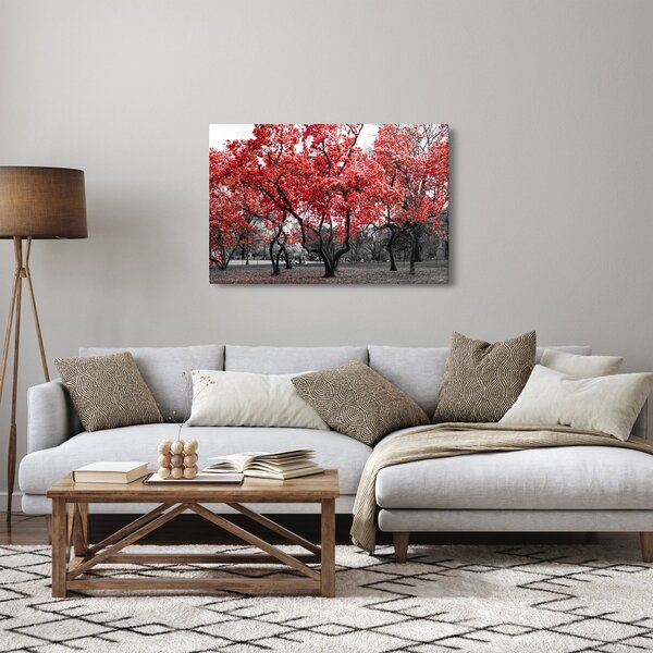 Obraz - Červené stromy, Central Park, New York (90x60 cm)