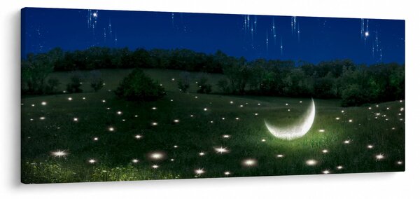 Obraz - Padajúce nebo (120x50 cm)