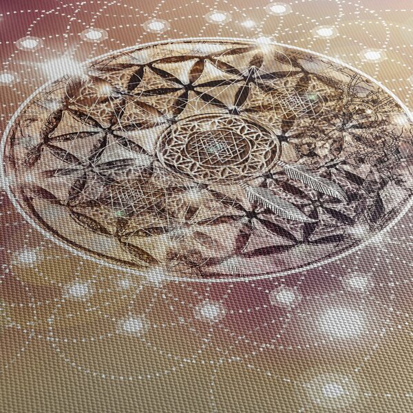 Obraz - Mandala s elementmi (90x60 cm)