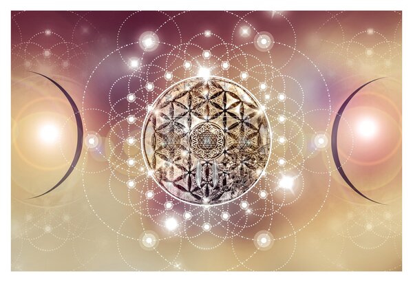 Obraz - Mandala s elementmi (90x60 cm)