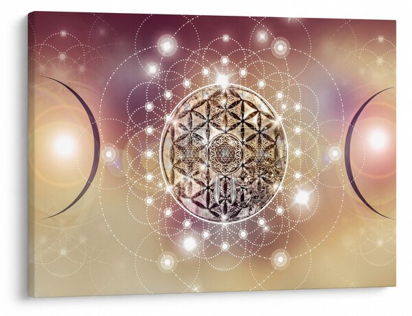Obraz - Mandala s elementmi (70x50 cm)