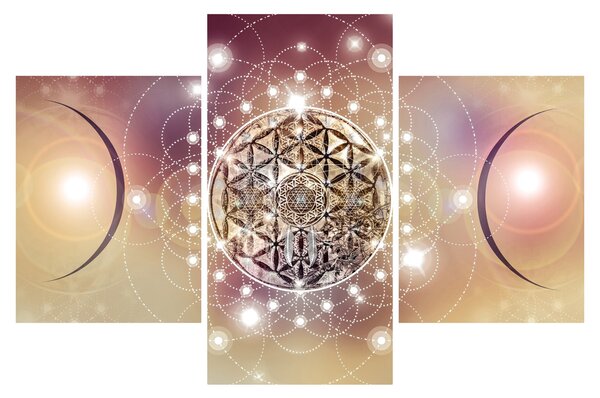 Obraz - Mandala s elementmi (90x60 cm)