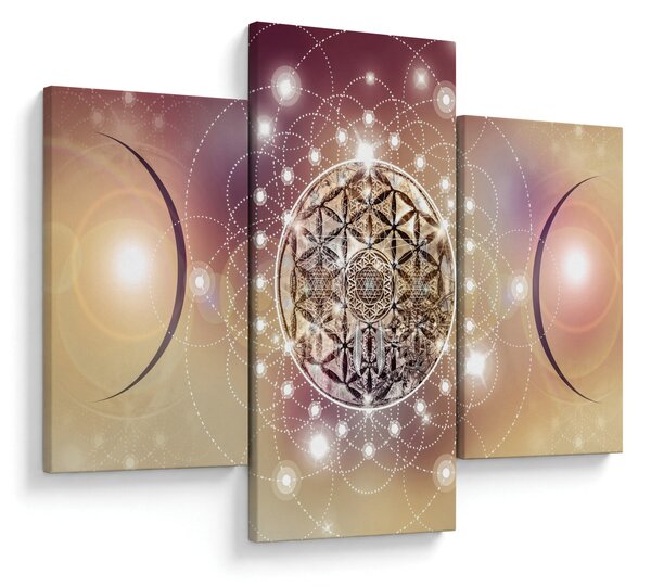 Obraz - Mandala s elementmi (90x60 cm)