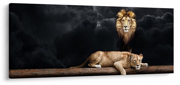 Obraz - Lev a levice v oblakoch (120x50 cm)
