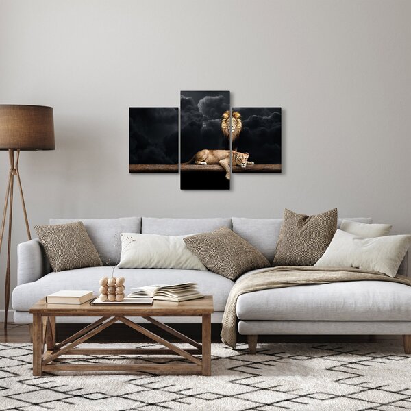 Obraz - Lev a levice v oblakoch (90x60 cm)