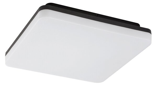 Rabalux7250 vonkajšie/kúpeľňové stropné LED svietidlo Pernik