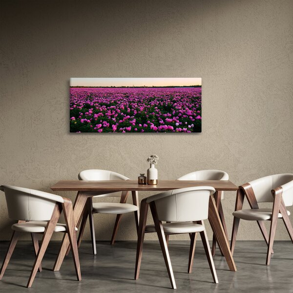 Obraz - Lúka fialových tulipánov (120x50 cm)