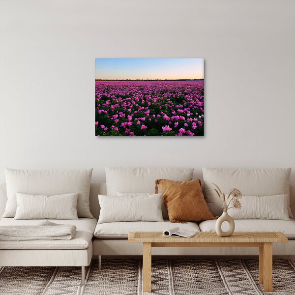 Obraz - Lúka fialových tulipánov (70x50 cm)