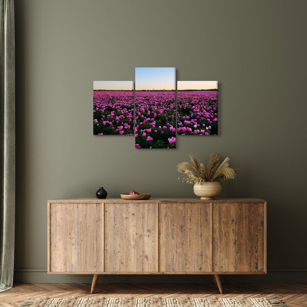 Obraz - Lúka fialových tulipánov (90x60 cm)