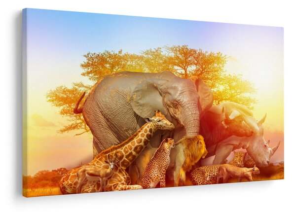 Obraz afrických zvieratiek (90x60 cm)