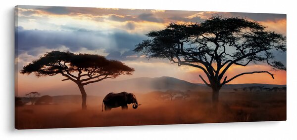 Obraz - Národný park Serengeti, Tanzánia, Afrika (120x50 cm)