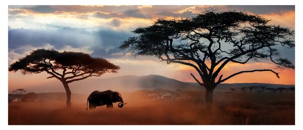 Obraz - Národný park Serengeti, Tanzánia, Afrika (120x50 cm)