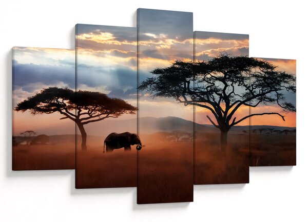 Obraz - Národný park Serengeti, Tanzánia, Afrika (150x105 cm)