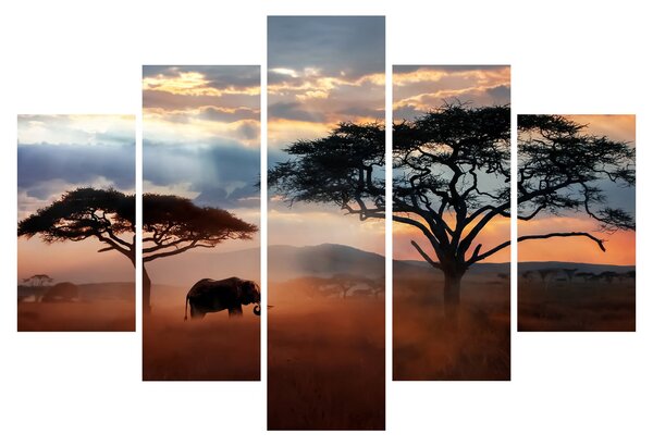 Obraz - Národný park Serengeti, Tanzánia, Afrika (150x105 cm)
