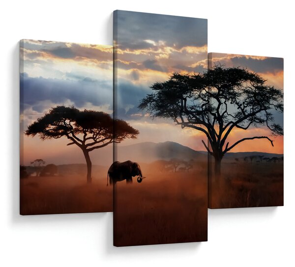 Obraz - Národný park Serengeti, Tanzánia, Afrika (90x60 cm)