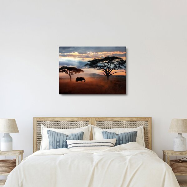 Obraz - Národný park Serengeti, Tanzánia, Afrika (70x50 cm)