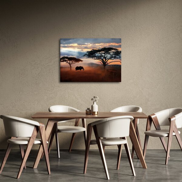 Obraz - Národný park Serengeti, Tanzánia, Afrika (70x50 cm)