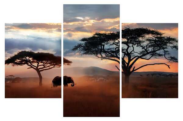 Obraz - Národný park Serengeti, Tanzánia, Afrika (90x60 cm)