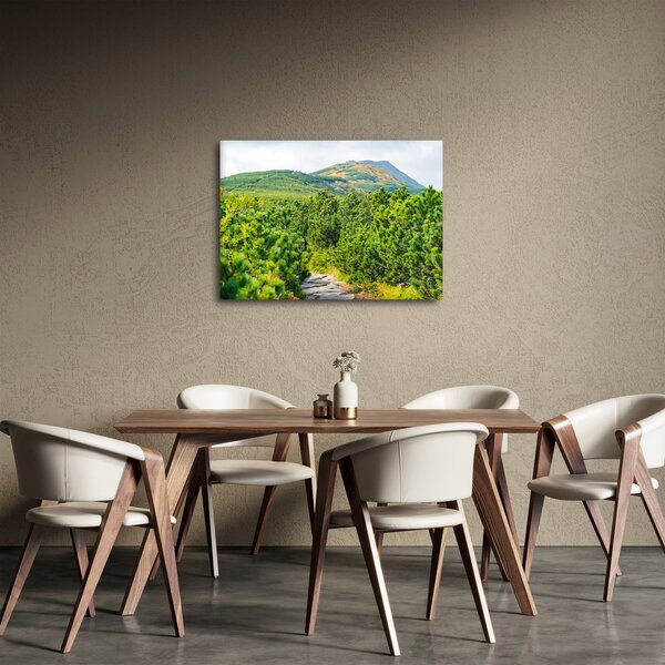 Obraz - Babi Hora, Poľsko (70x50 cm)