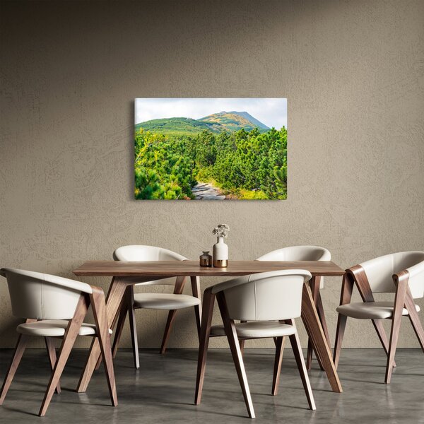 Obraz - Babi Hora, Poľsko (90x60 cm)