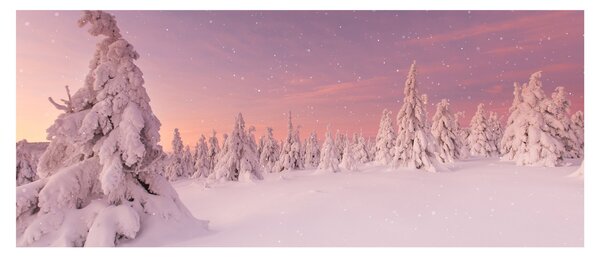Obraz - Stromy pod snehovou prikrývkou (120x50 cm)